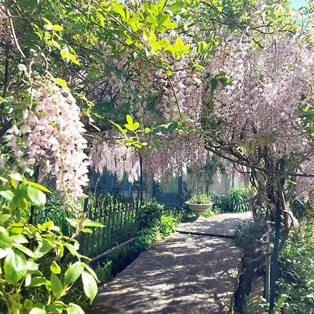 Le Jardin De Jean